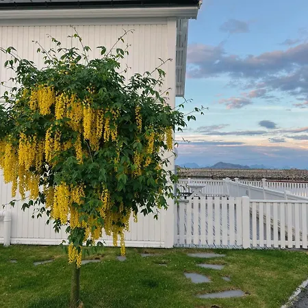 Unique Seaside In Charming - Lofoten